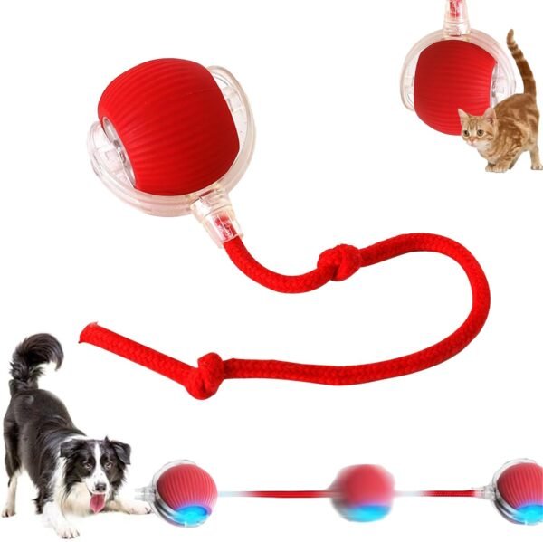 Interactive Rolling Dog Ball, Interactive Rolling Ball Dog Toy, Chewie Viral Rolling Ball, Active Rolling Ball for Dogs, 360° Smart Automatic Rolling Pet Ball(Red) (Red)