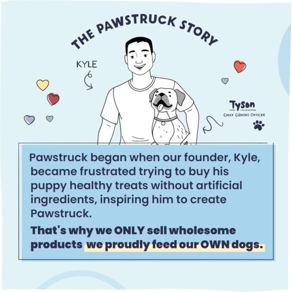 Pawstruck All Natural Air Dried Dog Food with Real Beef, Grain-Free, Made in USA, Non-GMO & Vet Recommended, High Protein Limited Ingredient Full-Feed for All Breeds & Ages, 2lb Bag