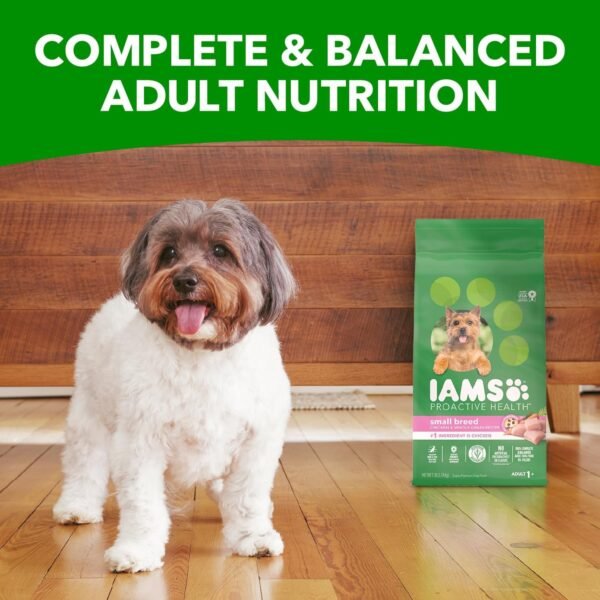 IAMS Small & Toy Breed Adult Dry Dog Food for Small Dogs with Real Chicken, 7 lb. Bag