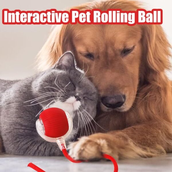 Interactive Rolling Dog Ball, Interactive Rolling Ball Dog Toy, Chewie Viral Rolling Ball, Active Rolling Ball for Dogs, 360° Smart Automatic Rolling Pet Ball(Red) (Red)