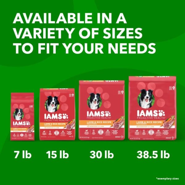 IAMS Minichunks Adult Dry Dog Food Lamb & Rice Recipe Dog Kibble, 30 lb. Bag