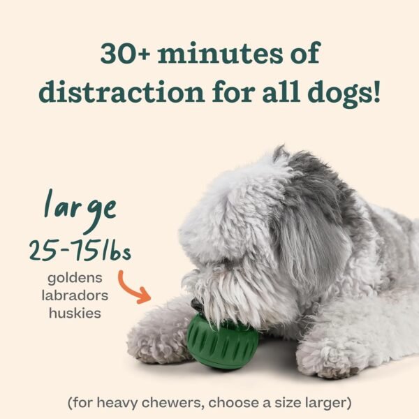 WOOF Pupsicle - Long-Lasting Interactive Dog Toy to Keep Your Pup Distracted - Safe for Dogs - Low-Mess Design - Dog Toys for Large Dogs 25-75 lbs