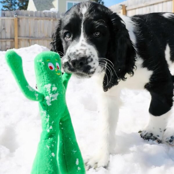 Multipet Gumby Dog Plush Toy - Squeaky Dog Toy for All Dogs - Extra Soft Plush Dog Toy w/ Flexible Legs & Arms - Stuffed Animal Dog Toy for Cuddling & Playing - Cute Dog Pet Toy (9", Green)