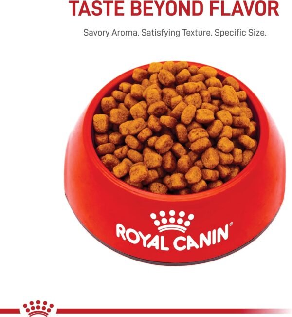 Royal Canin Yorkshire Terrier Adult Dry Dog Food, 10 lb bag