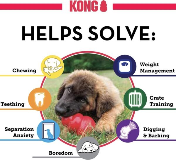 KONG Classic Stuffable Dog Toy - Fetch & Chew Toy for Dogs - Treat-Filling Capabilities & Erratic Bounce for Extended Play Time - Durable Natural Rubber Material - for Medium Dogs