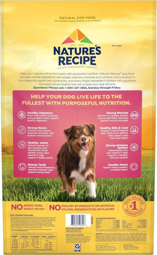 Nature’s Recipe Grain Free Salmon, Sweet Potato & Pumpkin Recipe Dry Dog Food, 24 lb. Bag