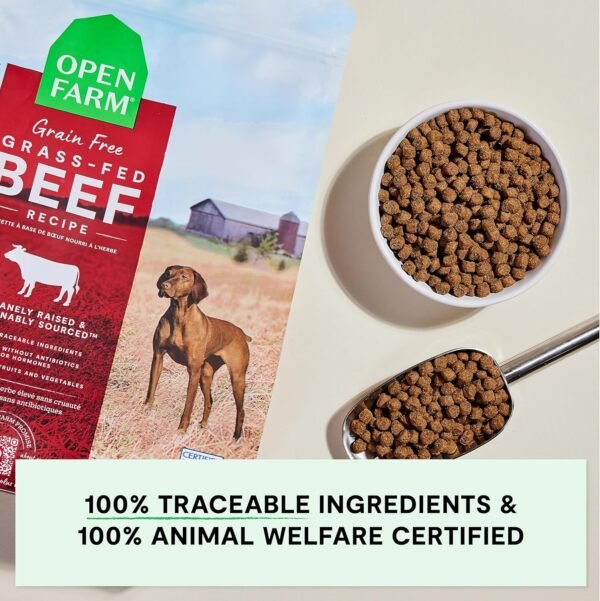 Open Farm, Grain-Free Dry Dog Food, Complete & Balanced Kibble, Sustainably & Ethically Sourced Ingredients, Non-GMO Veggies & Superfoods to Support Overall Health, Grass-Fed Beef Recipe, 22lb Bag